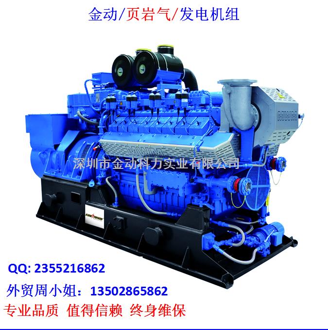 【深圳頁巖氣發(fā)電機】 發(fā)展趨勢無懈可擋！