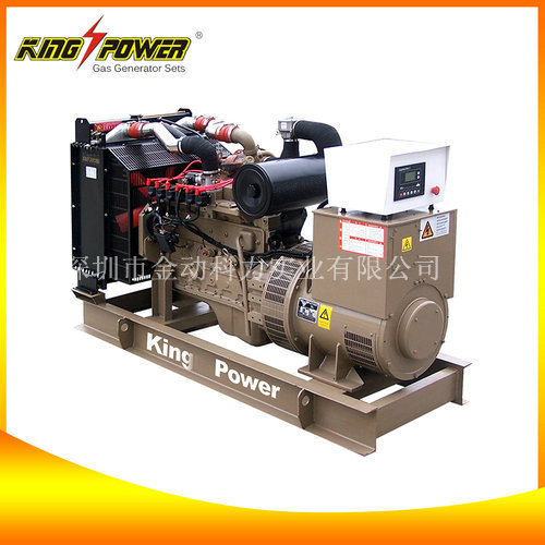 【頁巖氣發(fā)電機(jī)廠家】為我國增加新資源！