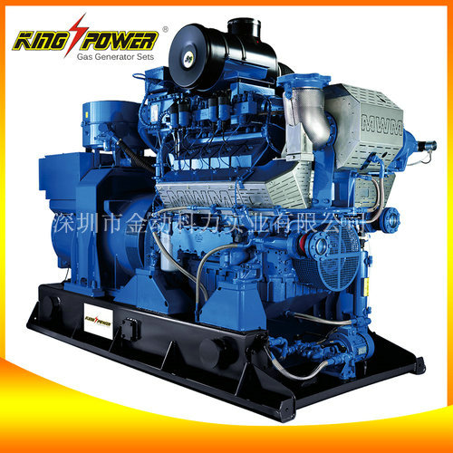 養(yǎng)殖場(chǎng)沼氣發(fā)電機(jī)